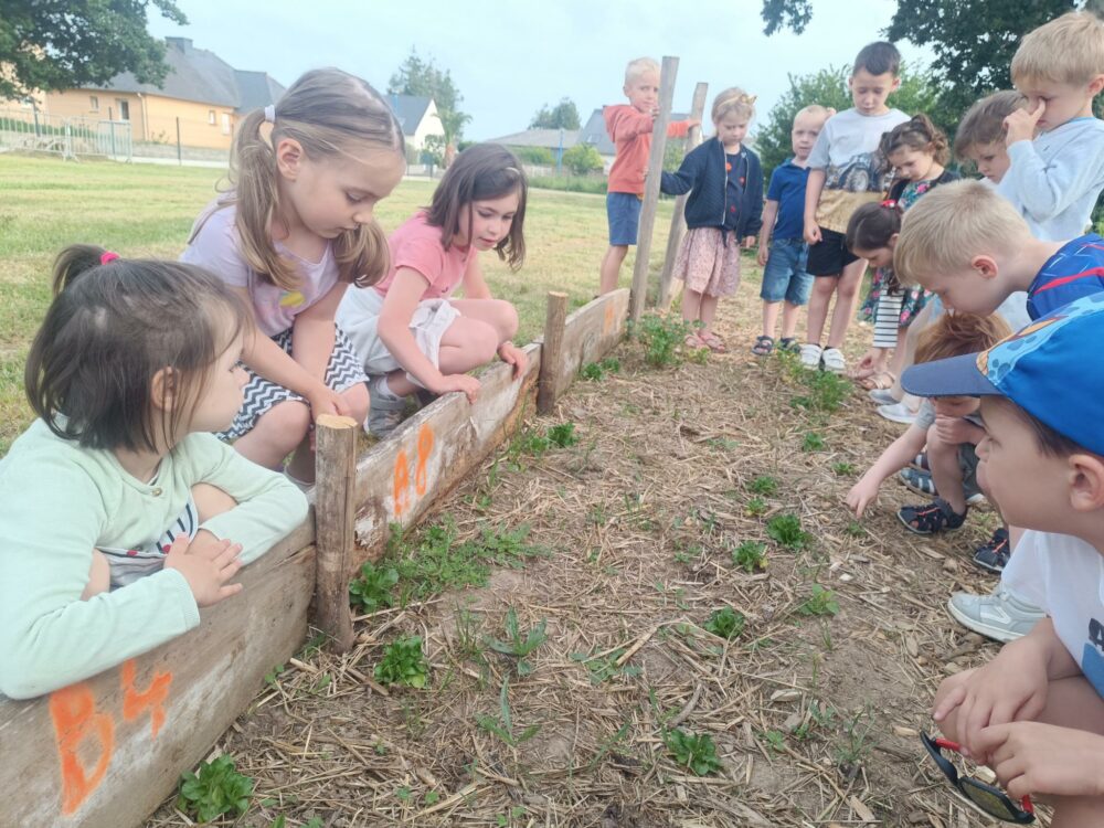 Le potager de l’école a vu le jour